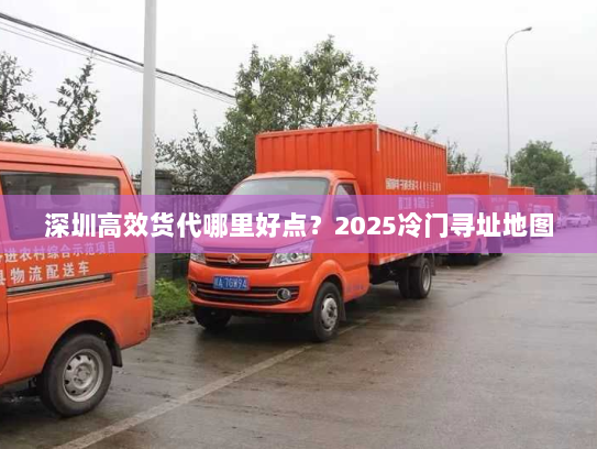 深圳高效货代哪里好点?2025冷门寻址地图 深圳高效货代哪里好点?2025冷门寻址地图