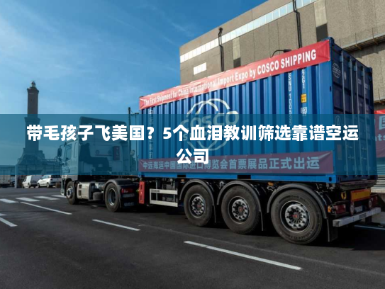 带毛孩子飞美国?5个血泪教训筛选靠谱空运公司 带毛孩子飞美国?5个血泪教训筛选靠谱空运公司