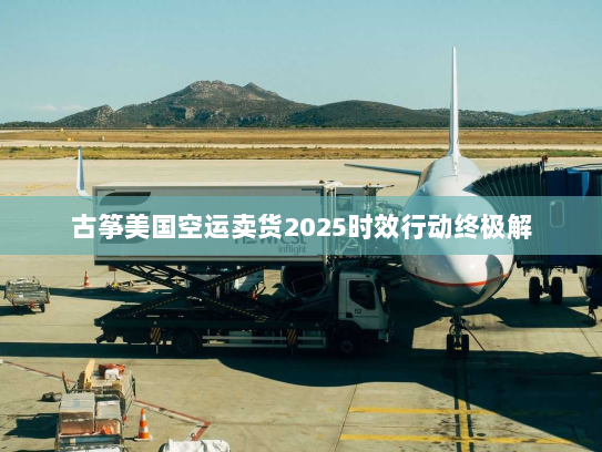 古筝美国空运卖货2025时效行动终极解 古筝美国空运卖货2025时效行动终极解