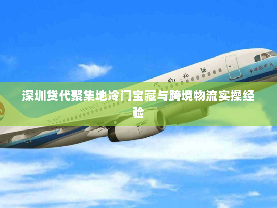 深圳货代聚集地冷门宝藏与跨境物流实操经验