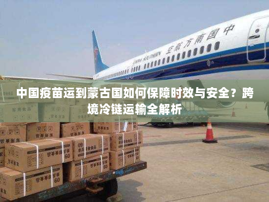 中国疫苗运到蒙古国如何保障时效与安全？跨境冷链运输全解析