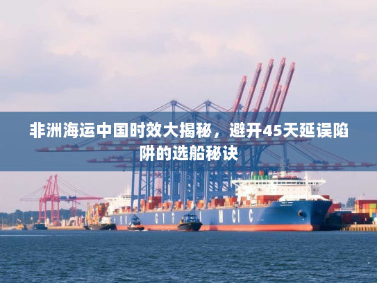 非洲海运中国时效大揭秘，避开45天延误陷阱的选船秘诀