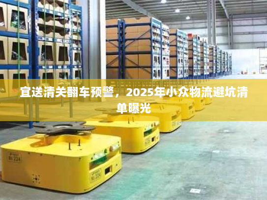 宜送清关翻车预警,2025年小众物流避坑清单曝光 宜送清关翻车预警,2025年小众物流避坑清单曝光