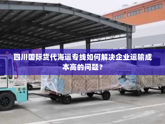 四川国际货代海运专线如何解决企业运输成本高的问题？