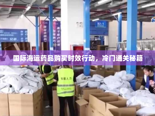 国际海运药品购买时效行动，冷门通关秘籍