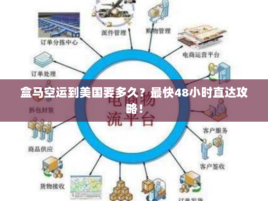 盒马空运到美国要多久?最快48小时直达攻略! 盒马空运到美国要多久?最快48小时直达攻略!