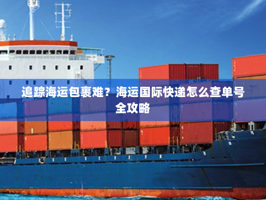 追踪海运包裹难？海运国际快递怎么查单号全攻略