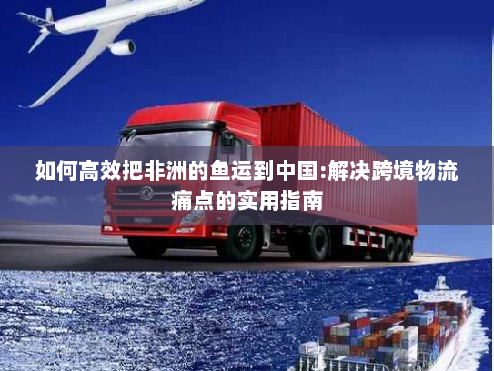 如何高效把非洲的鱼运到中国:解决跨境物流痛点的实用指南 如何高效把非洲的鱼运到中国:解决跨境物流痛点的实用指南