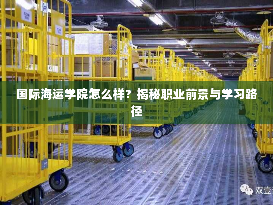 国际海运学院怎么样？揭秘职业前景与学习路径