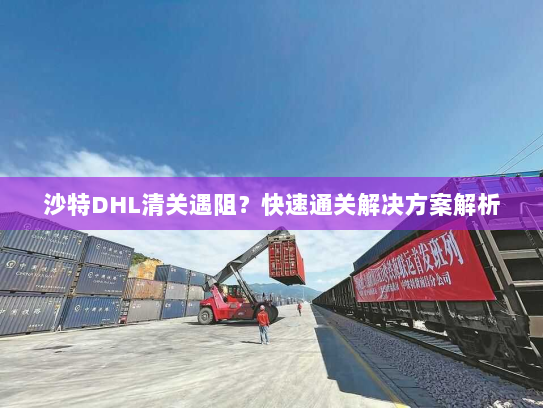 沙特DHL清关遇阻?快速通关解决方案解析 沙特DHL清关遇阻?快速通关解决方案解析