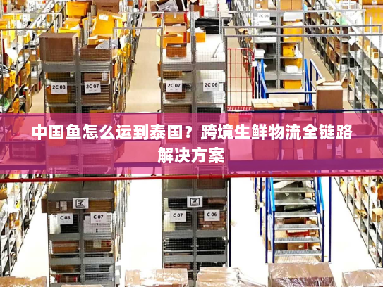 中国鱼怎么运到泰国?跨境生鲜物流全链路解决方案 中国鱼怎么运到泰国?跨境生鲜物流全链路解决方案