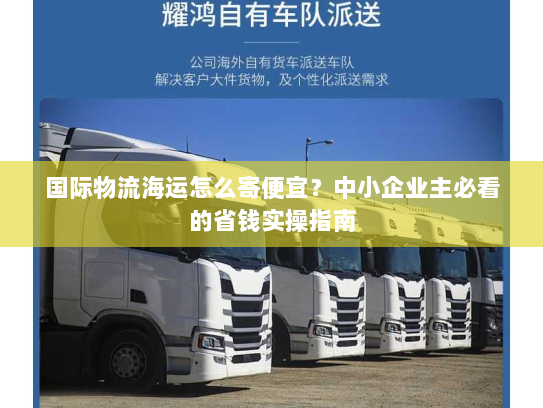 国际物流海运怎么寄便宜？中小企业主必看的省钱实操指南