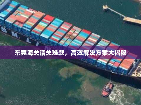 东莞海关清关难题,高效解决方案大揭秘 东莞海关清关难题,高效解决方案大揭秘