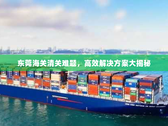 东莞海关清关难题,高效解决方案大揭秘 东莞海关清关难题,高效解决方案大揭秘