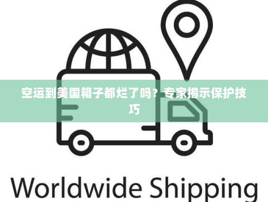 空运到美国箱子都烂了吗?专家揭示保护技巧 空运到美国箱子都烂了吗?专家揭示保护技巧