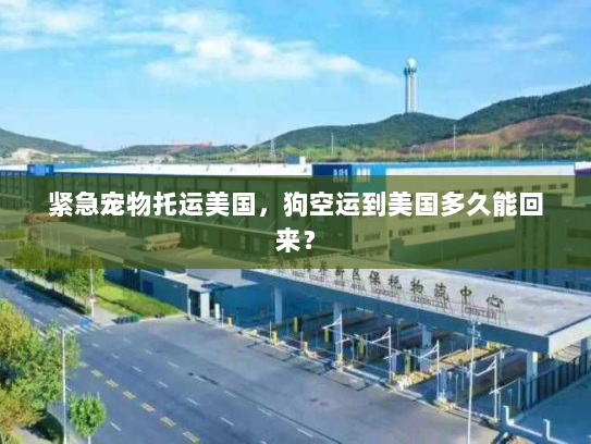 紧急宠物托运美国，狗空运到美国多久能回来？