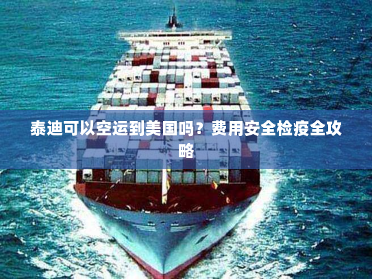 泰迪可以空运到美国吗？费用安全检疫全攻略