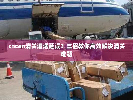 cncan清关遭遇延误?三招教你高效解决清关难题 cncan清关遭遇延误?三招教你高效解决清关难题