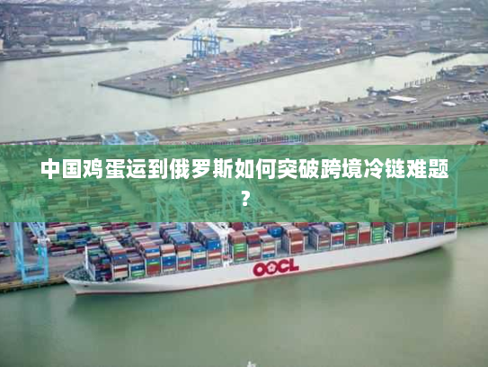 中国鸡蛋运到俄罗斯如何突破跨境冷链难题？
