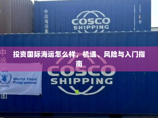 投资国际海运怎么样，机遇、风险与入门指南
