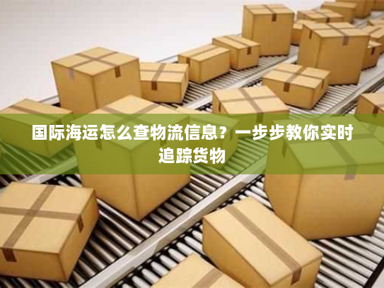 国际海运怎么查物流信息?一步步教你实时追踪货物 国际海运怎么查物流信息?一步步教你实时追踪货物