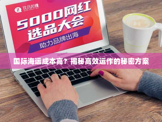 国际海运成本高？揭秘高效运作的秘密方案