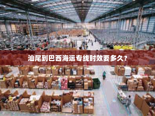 汕尾到巴西海运专线时效要多久? 汕尾到巴西海运专线时效要多久?