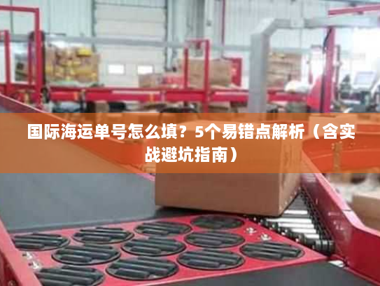 国际海运单号怎么填？5个易错点解析（含实战避坑指南）
