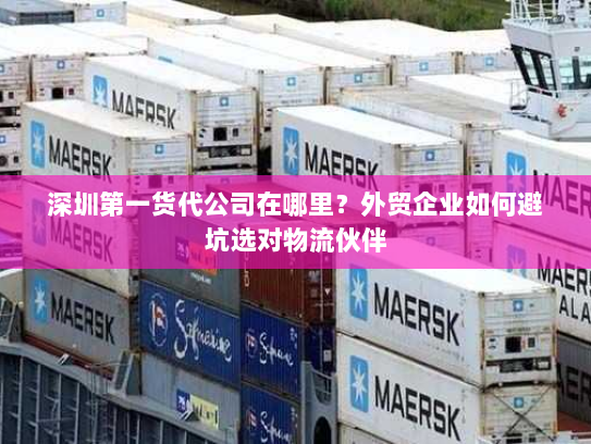 深圳第一货代公司在哪里?外贸企业如何避坑选对物流伙伴 深圳第一货代公司在哪里?外贸企业如何避坑选对物流伙伴