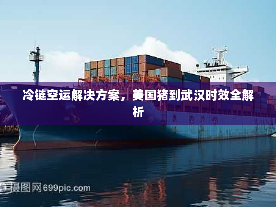 冷链空运解决方案,美国猪到武汉时效全解析 冷链空运解决方案,美国猪到武汉时效全解析