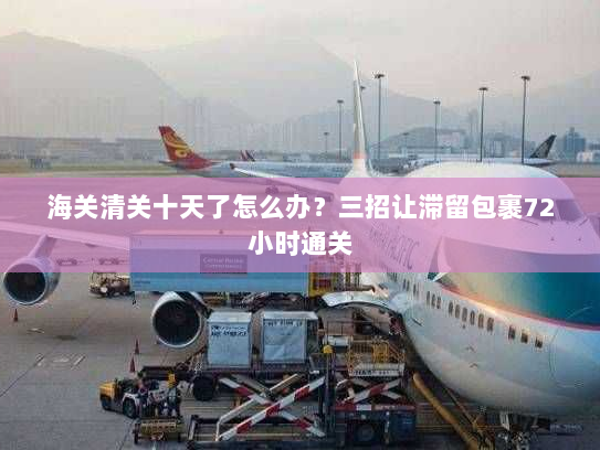 海关清关十天了怎么办?三招让滞留包裹72小时通关 海关清关十天了怎么办?三招让滞留包裹72小时通关
