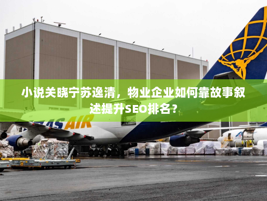 小说关晓宁苏逸清，物业企业如何靠故事叙述提升SEO排名？