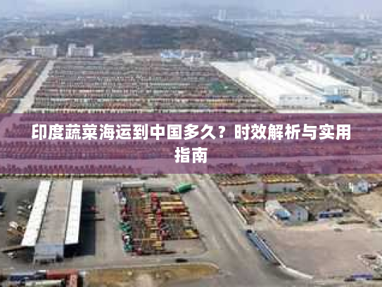 印度蔬菜海运到中国多久?时效解析与实用指南 印度蔬菜海运到中国多久?时效解析与实用指南