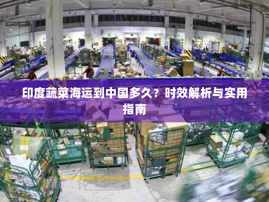 印度蔬菜海运到中国多久?时效解析与实用指南 印度蔬菜海运到中国多久?时效解析与实用指南