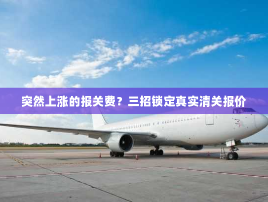 突然上涨的报关费?三招锁定真实清关报价 突然上涨的报关费?三招锁定真实清关报价