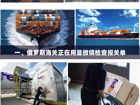 一、俄罗斯海关正在用显微镜检查报关单