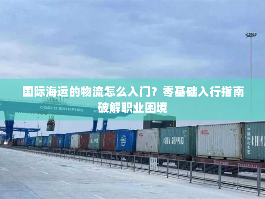 国际海运的物流怎么入门?零基础入行指南破解职业困境 国际海运的物流怎么入门?零基础入行指南破解职业困境