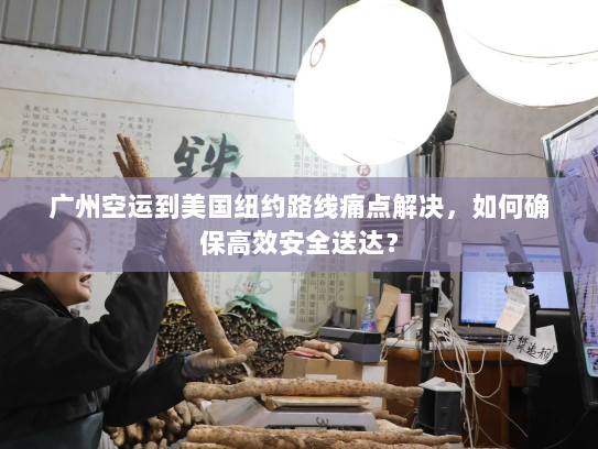 广州空运到美国纽约路线痛点解决,如何确保高效安全送达? 广州空运到美国纽约路线痛点解决,如何确保高效安全送达?