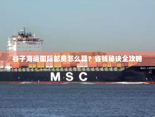 谷子海运国际邮费怎么算？省钱秘诀全攻略