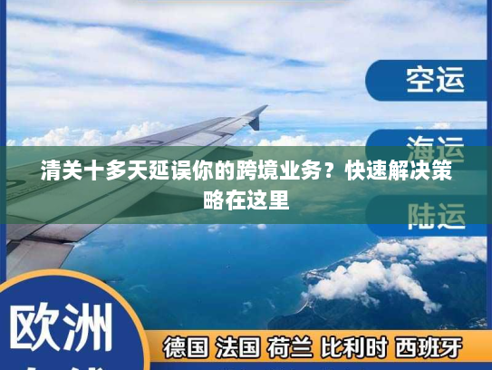 清关十多天延误你的跨境业务?快速解决策略在这里 清关十多天延误你的跨境业务?快速解决策略在这里