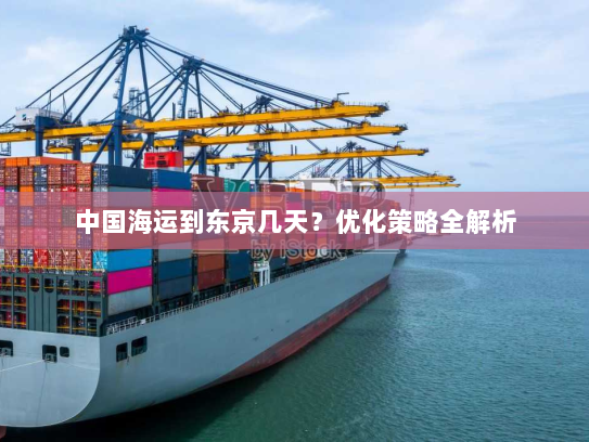 中国海运到东京几天?优化策略全解析 中国海运到东京几天?优化策略全解析