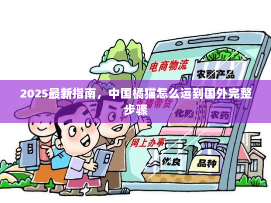 2025最新指南，中国橘猫怎么运到国外完整步骤