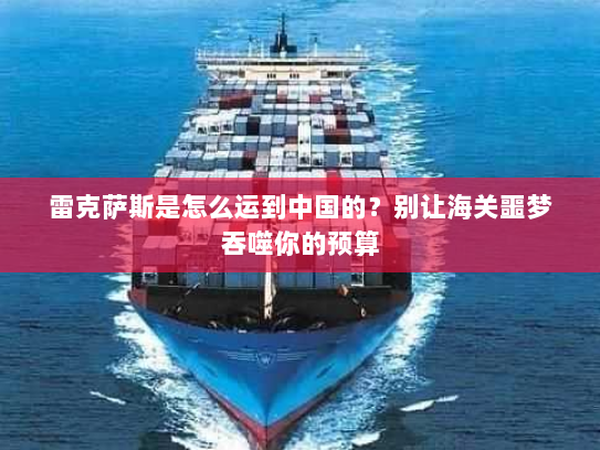 雷克萨斯是怎么运到中国的？别让海关噩梦吞噬你的预算