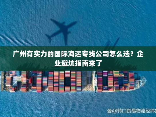 广州有实力的国际海运专线公司怎么选？企业避坑指南来了