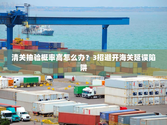 清关抽验概率高怎么办？3招避开海关延误陷阱