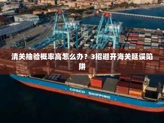 清关抽验概率高怎么办？3招避开海关延误陷阱