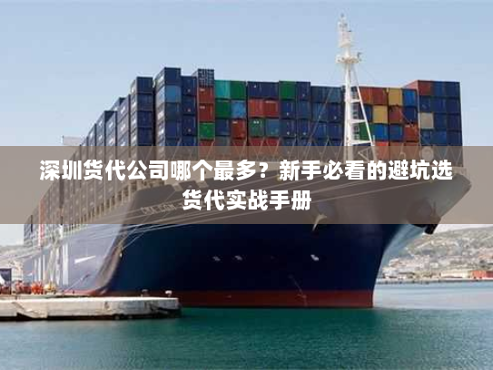 深圳货代公司哪个最多？新手必看的避坑选货代实战手册