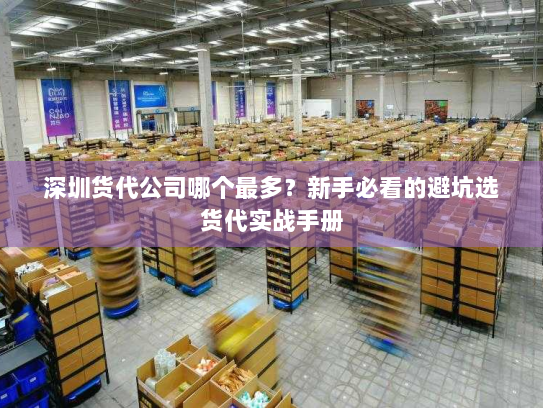 深圳货代公司哪个最多？新手必看的避坑选货代实战手册