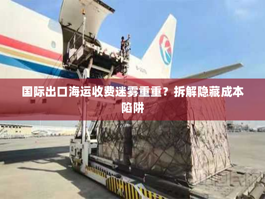 国际出口海运收费迷雾重重？拆解隐藏成本陷阱