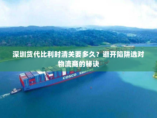 深圳货代比利时清关要多久?避开陷阱选对物流商的秘诀 深圳货代比利时清关要多久?避开陷阱选对物流商的秘诀